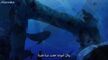 [Anime4up rest] OP EP 1150 HD
